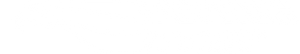 FlyingEyesOptics