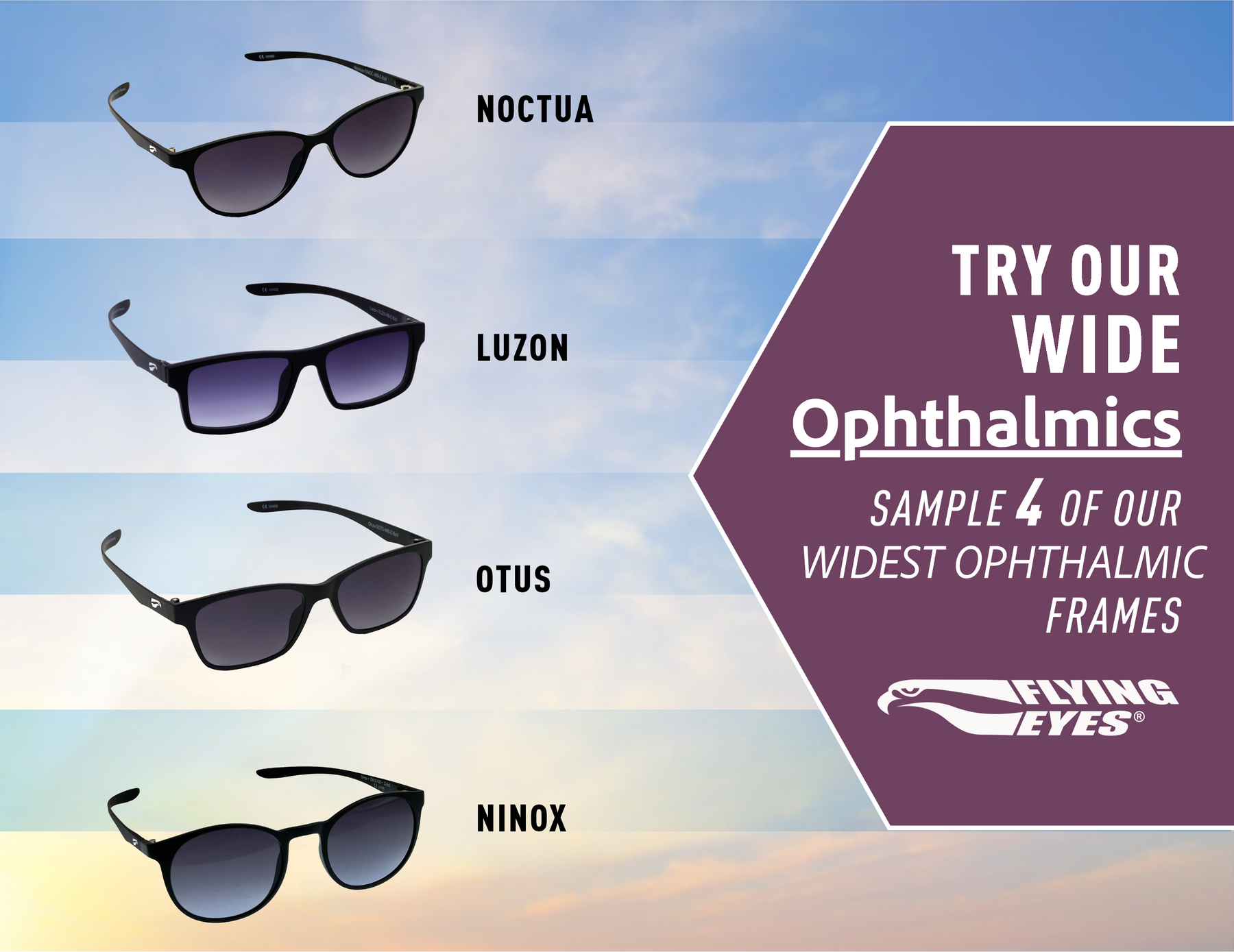 Sunglasses Try On Kits FlyingEyesOptics